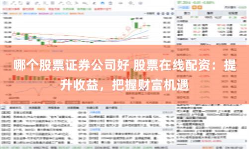 哪个股票证券公司好 股票在线配资：提升收益，把握财富机遇