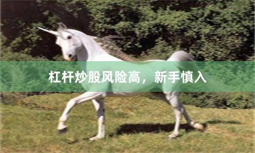 杠杆炒股风险高，新手慎入